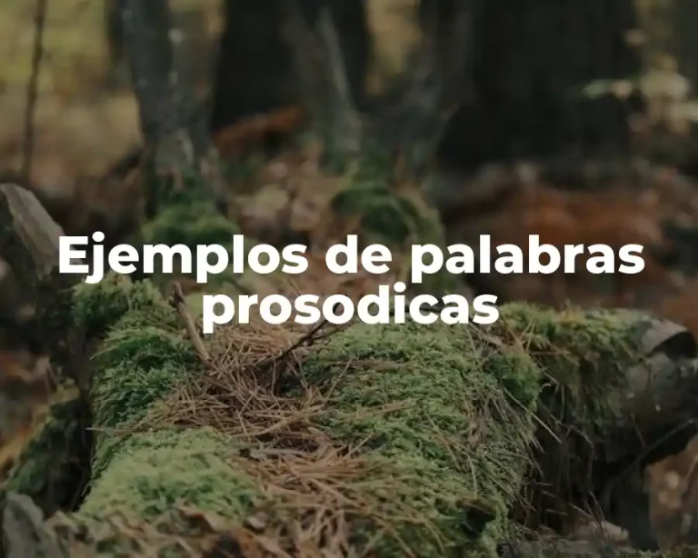 Ejemplos de palabras prosodicas