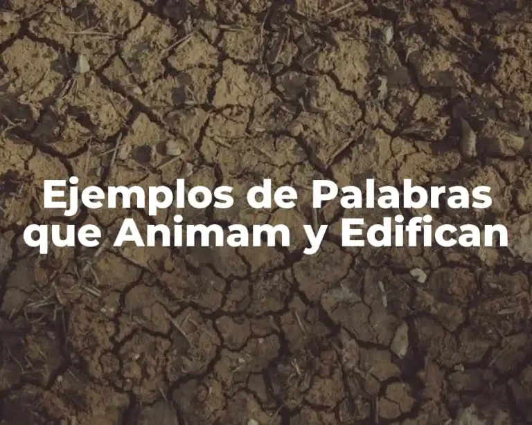Ejemplos de Palabras que Animam y Edifican