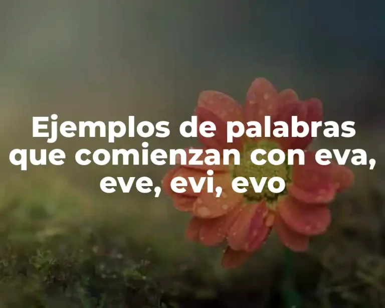 Ejemplos de palabras que comienzan con eva, eve, evi, evo