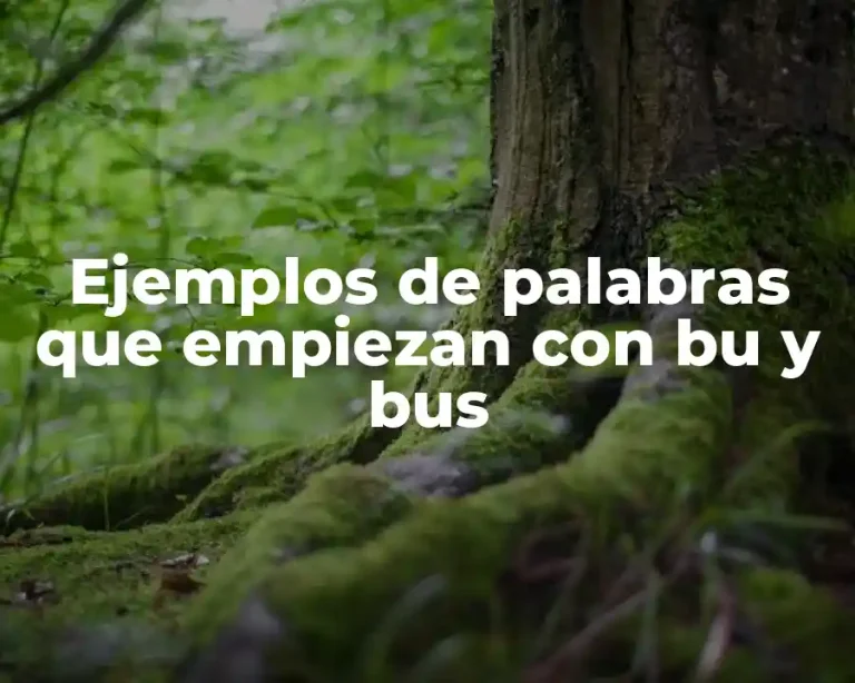 Ejemplos de palabras que empiezan con bu y bus