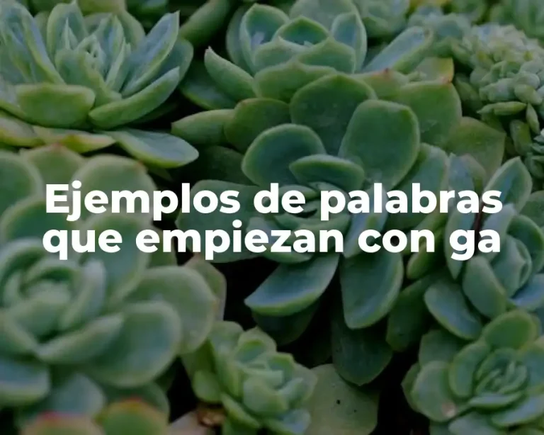 Ejemplos de palabras que empiezan con ga