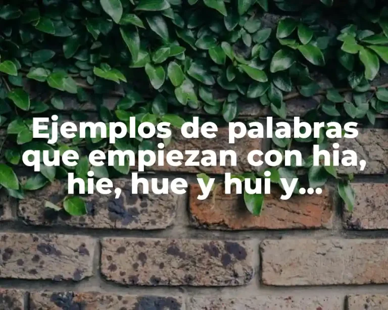 Ejemplos de palabras que empiezan con hia, hie, hue y hui y Significado