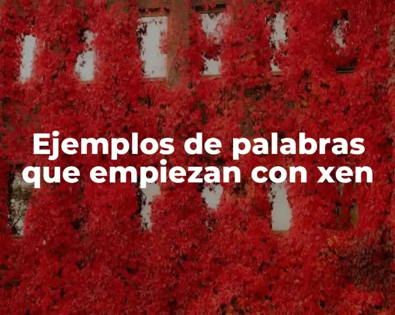 Ejemplos de palabras que empiezan con xen