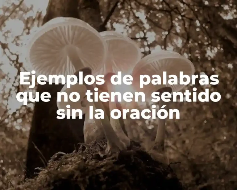 Ejemplos de palabras que no tienen sentido sin la oración