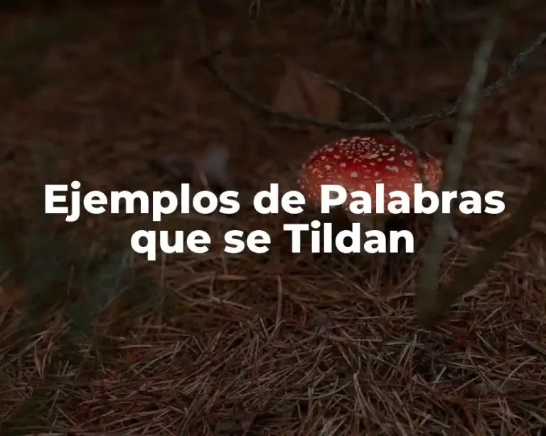 Ejemplos de Palabras que se Tildan