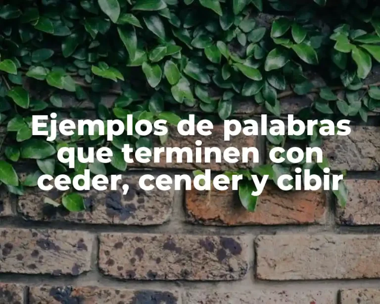 Ejemplos de palabras que terminen con ceder, cender y cibir