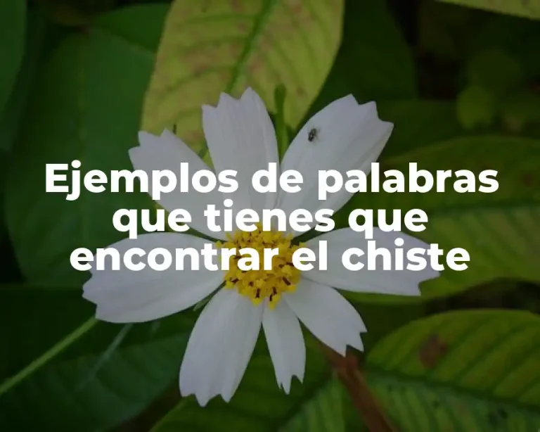 Ejemplos de palabras que tienes que encontrar el chiste