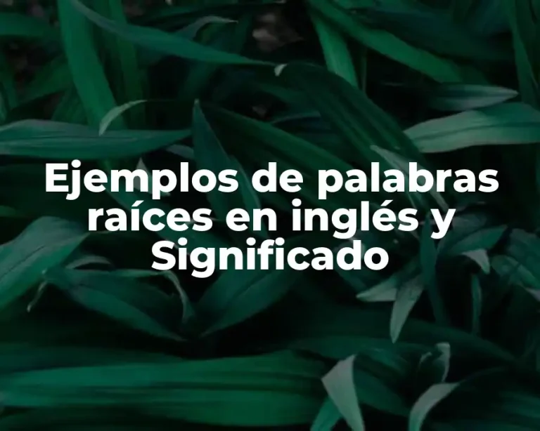 Ejemplos de palabras raíces en inglés y Significado