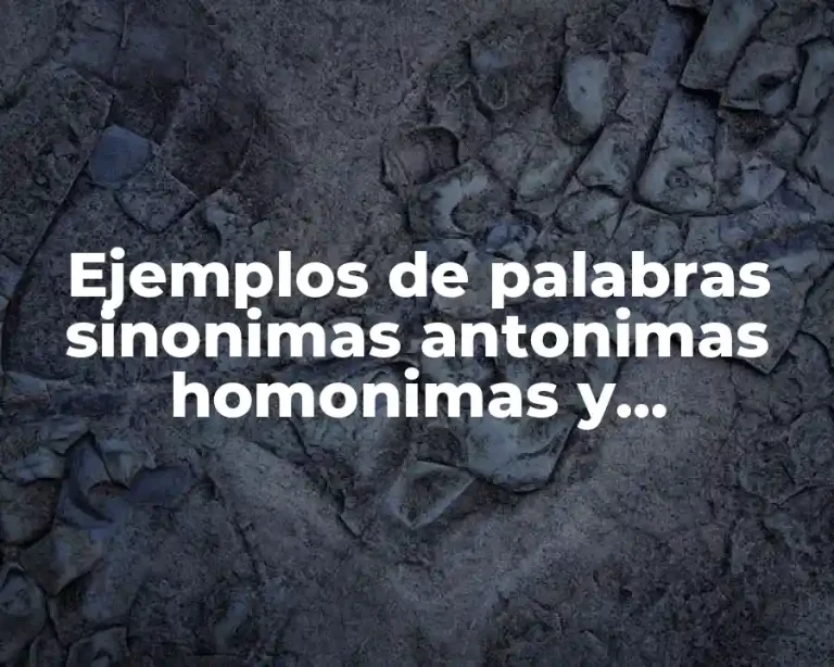 Ejemplos de palabras sinonimas antonimas homonimas y homofonas