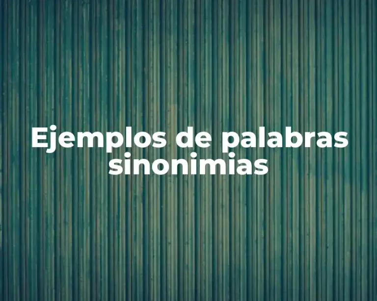 Ejemplos de palabras sinonimias