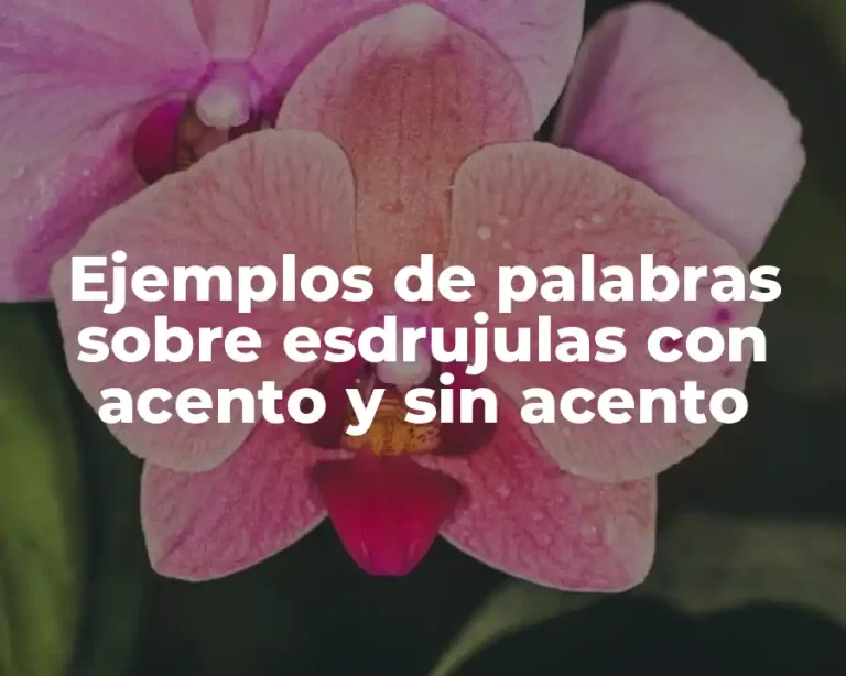 Ejemplos de palabras sobre esdrujulas con acento y sin acento