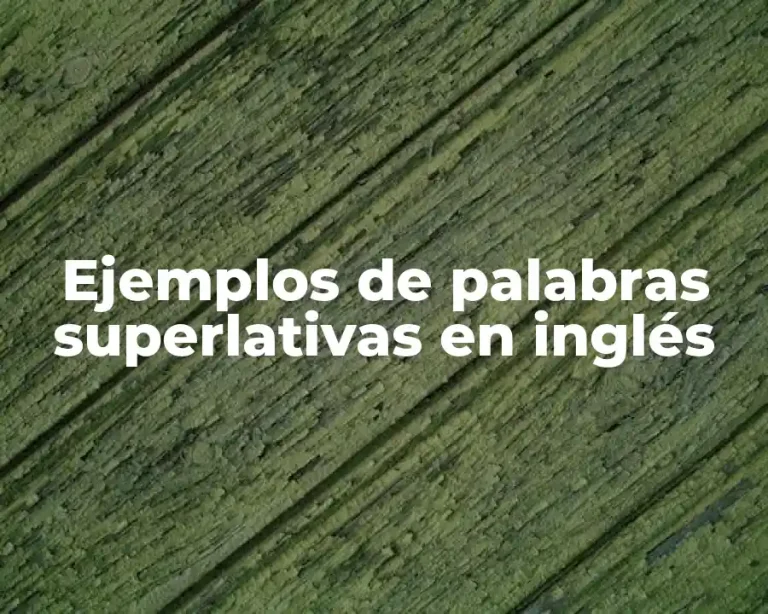 Ejemplos de palabras superlativas en inglés
