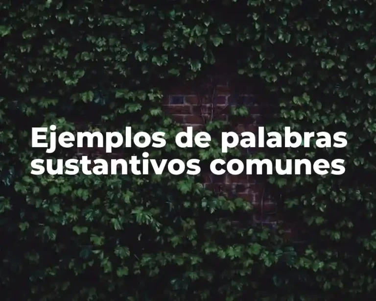 Ejemplos de palabras sustantivos comunes