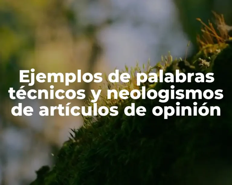 Ejemplos de palabras técnicos y neologismos de artículos de opinión