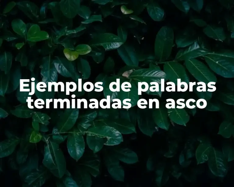 Ejemplos de palabras terminadas en asco