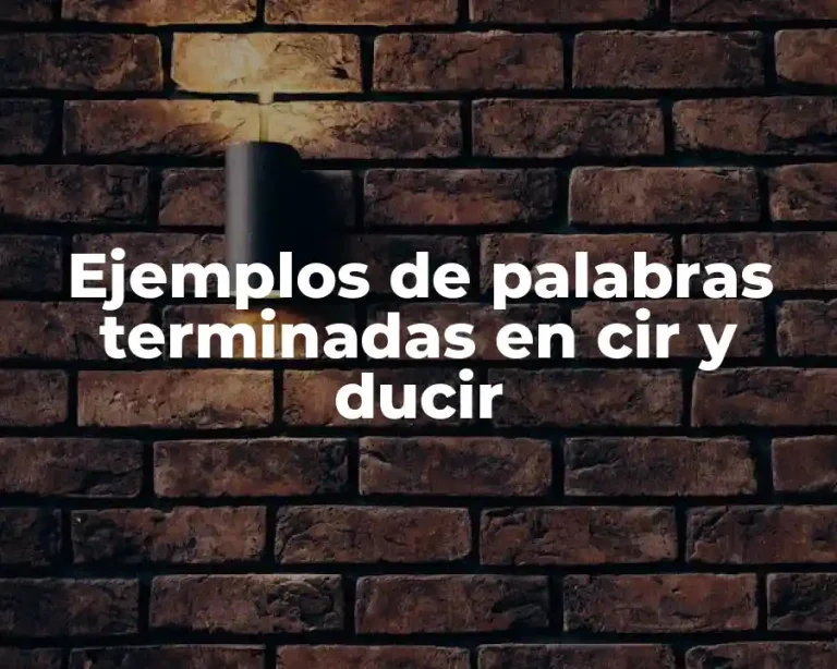 Ejemplos de palabras terminadas en cir y ducir