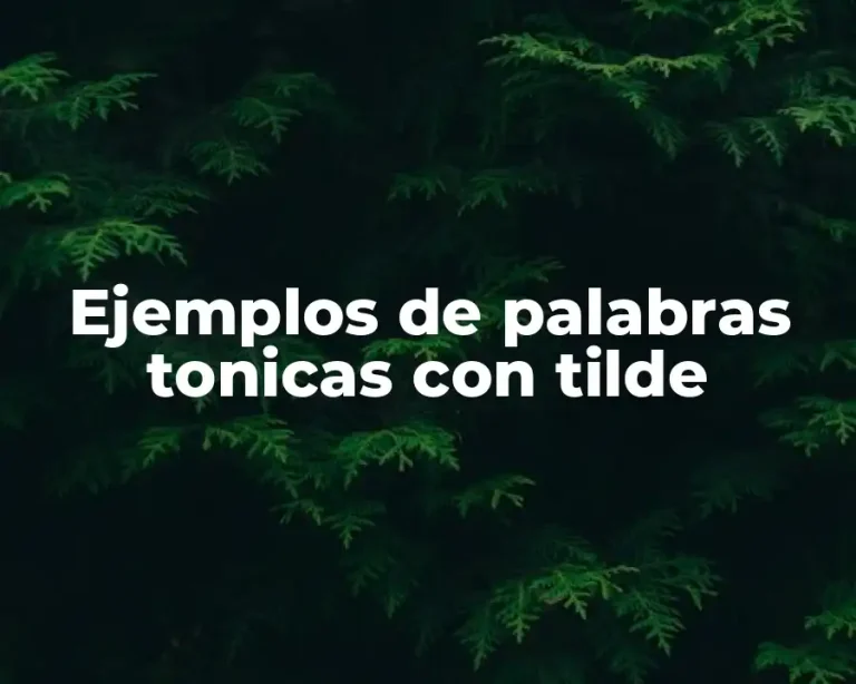 Ejemplos de palabras tonicas con tilde