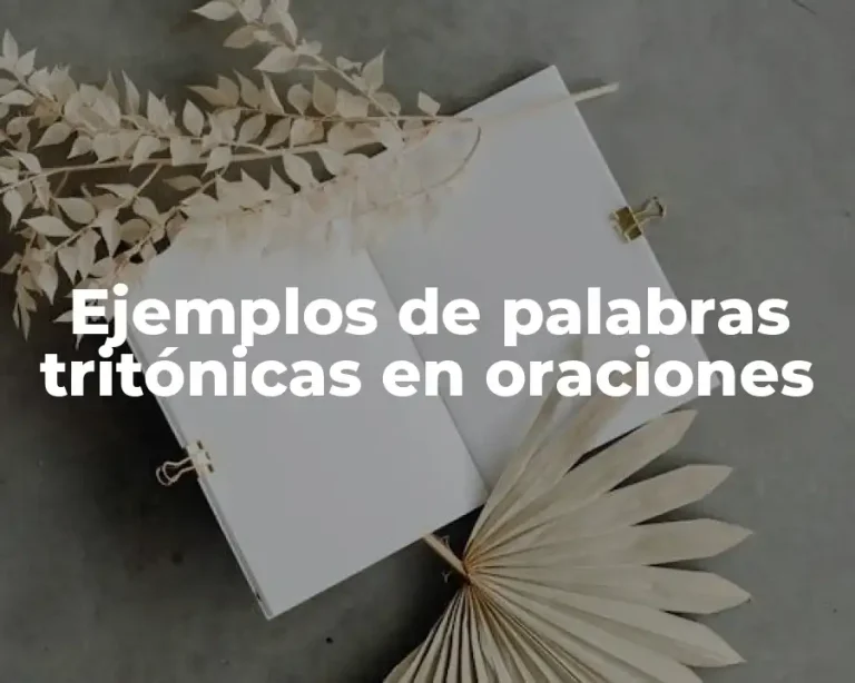 Ejemplos de palabras tritónicas en oraciones
