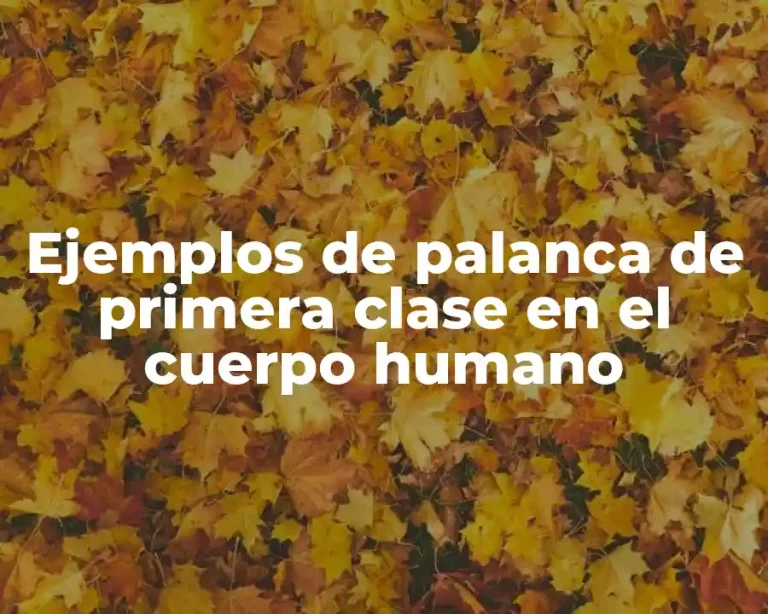 Ejemplos de palanca de primera clase en el cuerpo humano