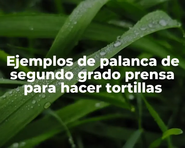 Ejemplos de palanca de segundo grado prensa para hacer tortillas