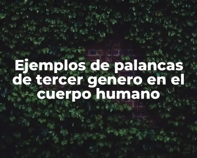 Ejemplos de palancas de tercer genero en el cuerpo humano
