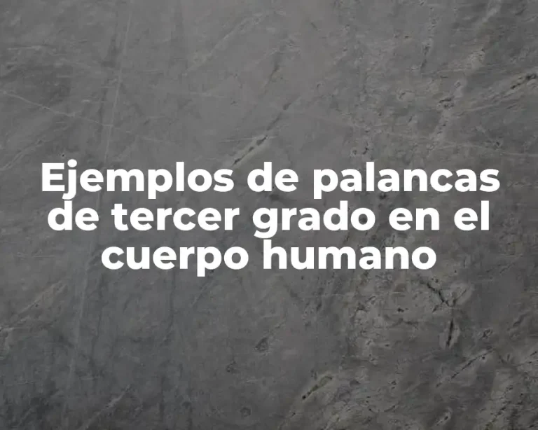 Ejemplos de palancas de tercer grado en el cuerpo humano