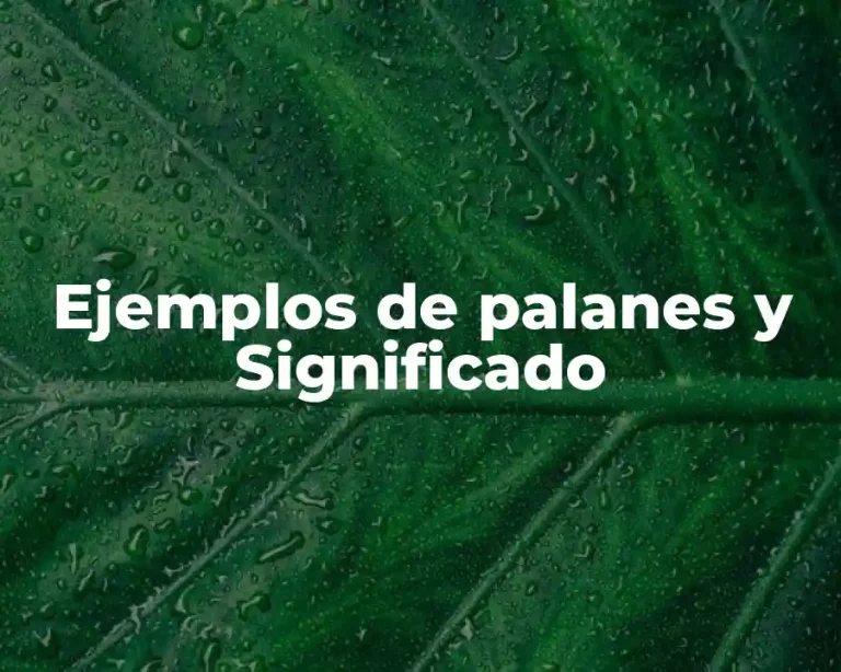 Ejemplos de palanes y Significado