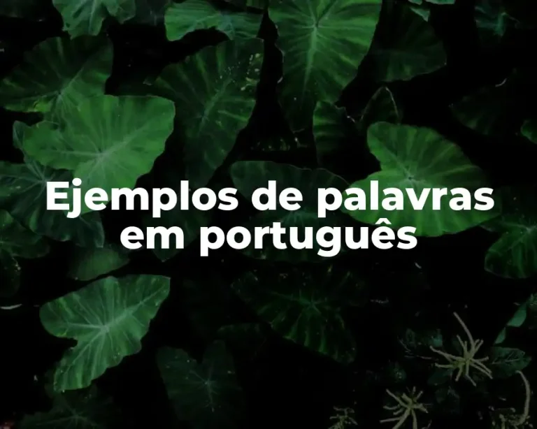 Ejemplos de palavras em português