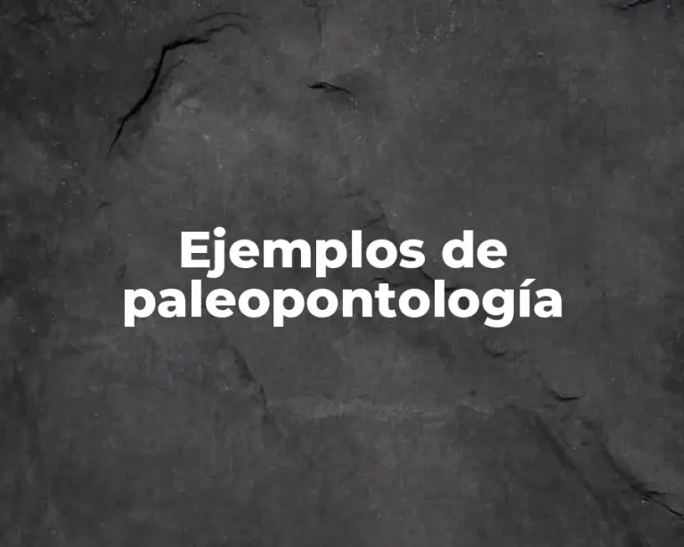 Ejemplos de paleopontología