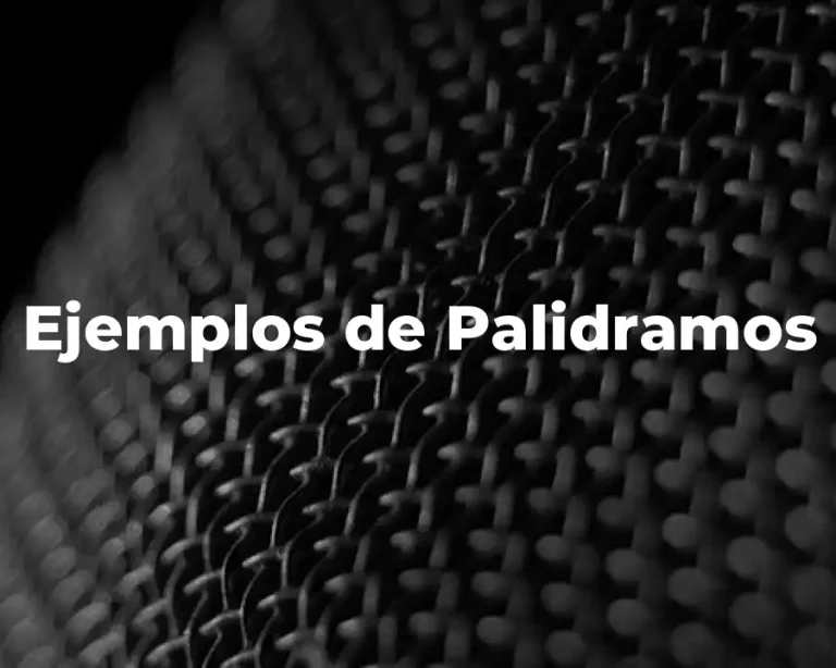 Ejemplos de Palidramos