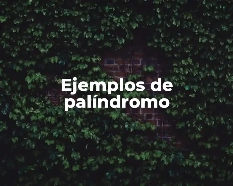 Ejemplos de palíndromo