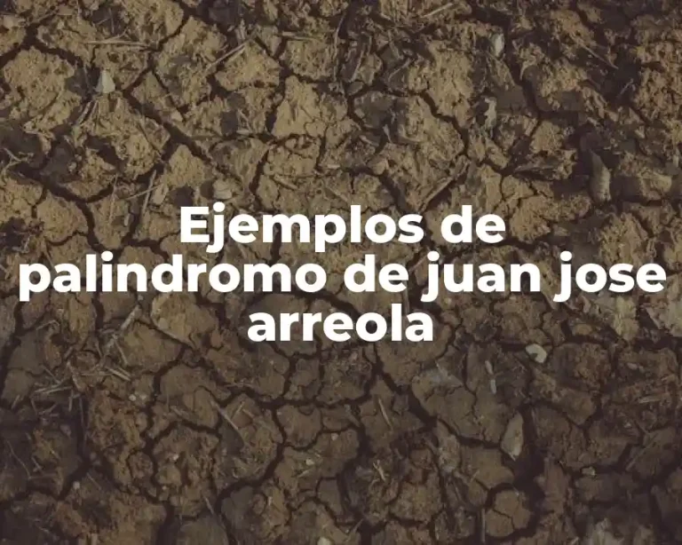 Ejemplos de palindromo de juan jose arreola