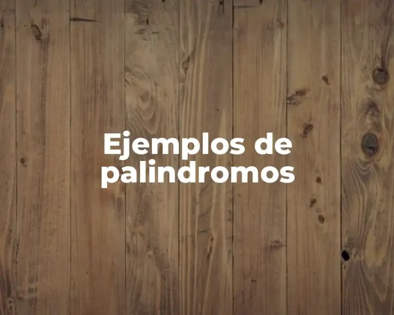Ejemplos de palindromos