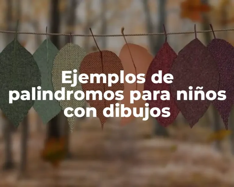 Ejemplos de palindromos para niños con dibujos