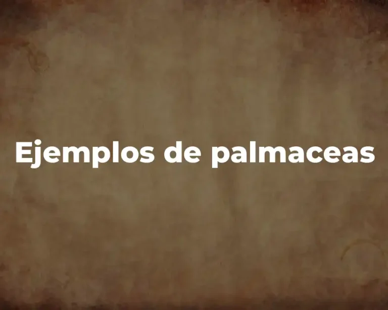 Ejemplos de palmaceas