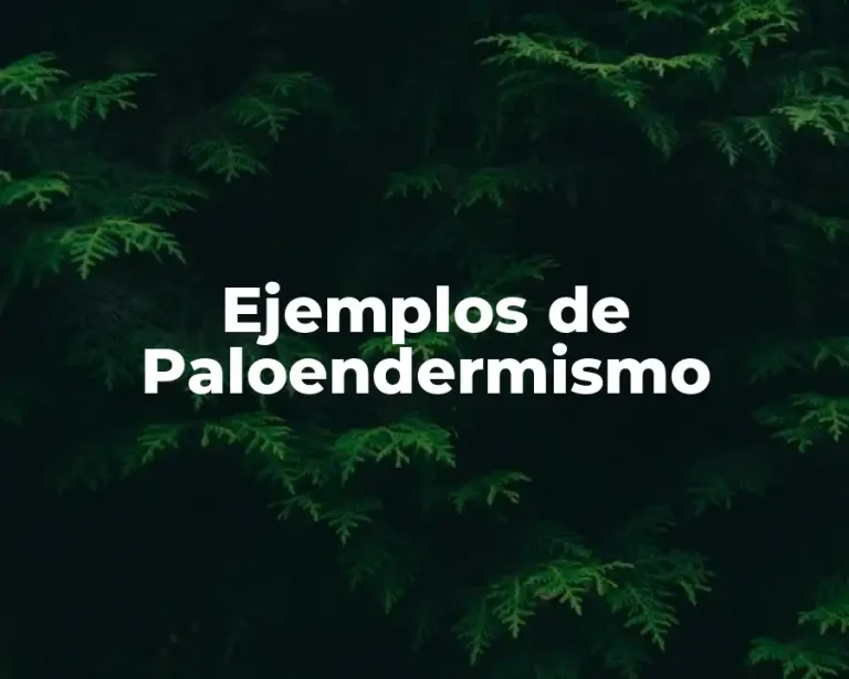 Ejemplos de Paloendermismo