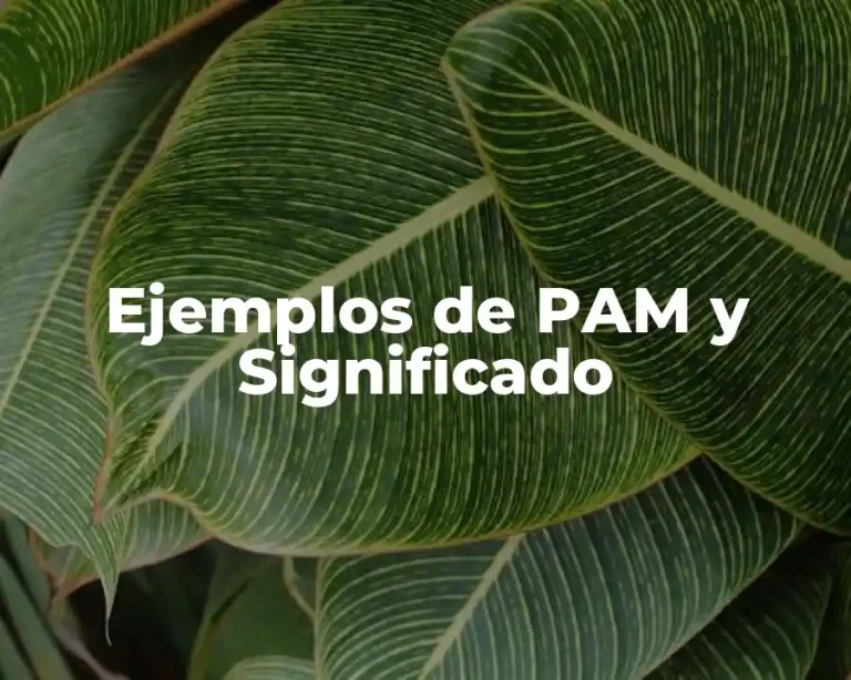 Ejemplos de PAM y Significado