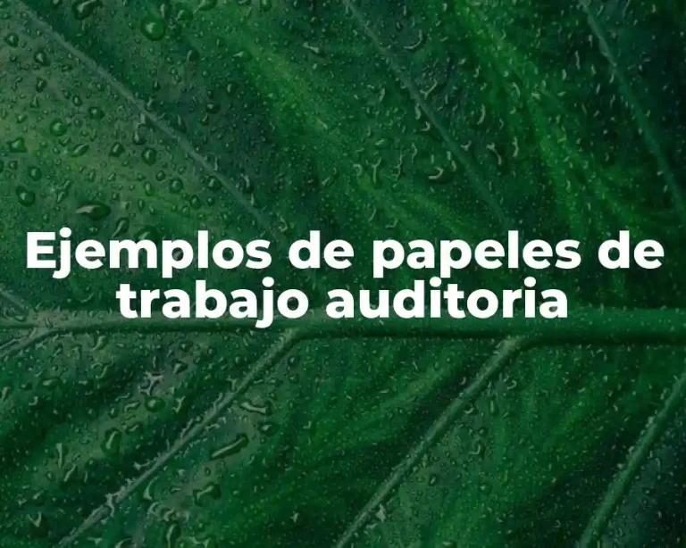 Ejemplos de papeles de trabajo auditoria