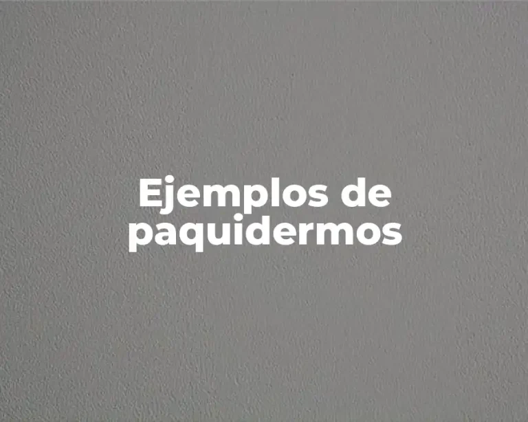 Ejemplos de paquidermos