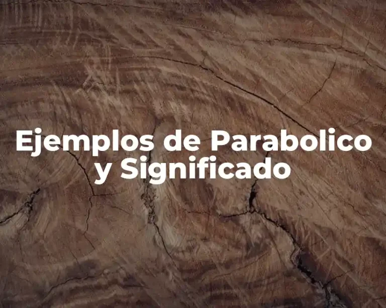 Ejemplos de Parabolico y Significado