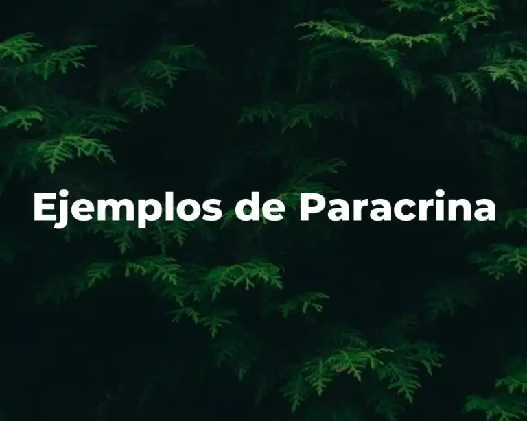Ejemplos de Paracrina
