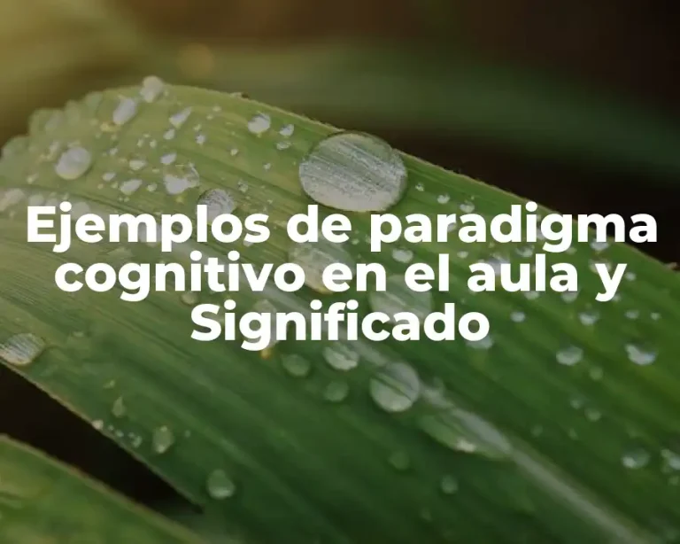 Ejemplos de paradigma cognitivo en el aula y Significado