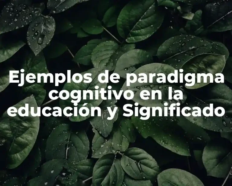 Ejemplos de paradigma cognitivo en la educación y Significado