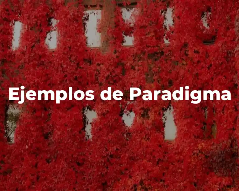 Ejemplos de Paradigma