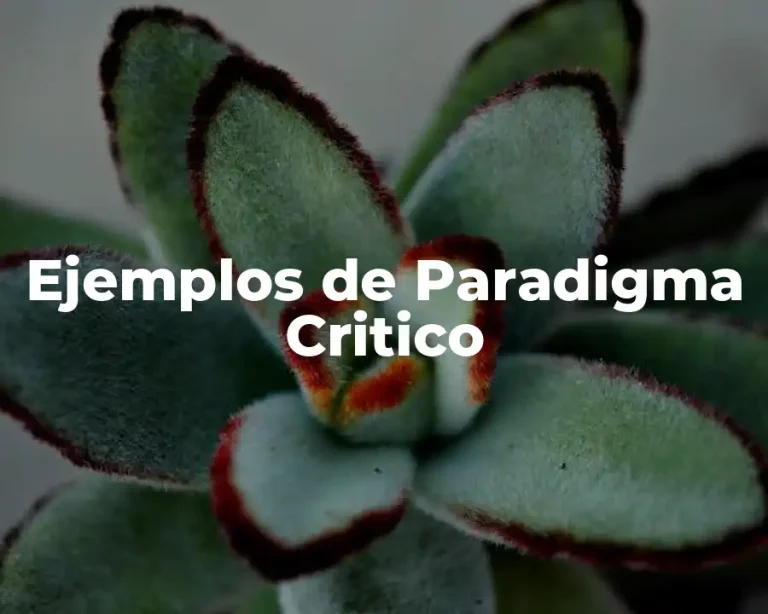 Ejemplos de Paradigma Critico