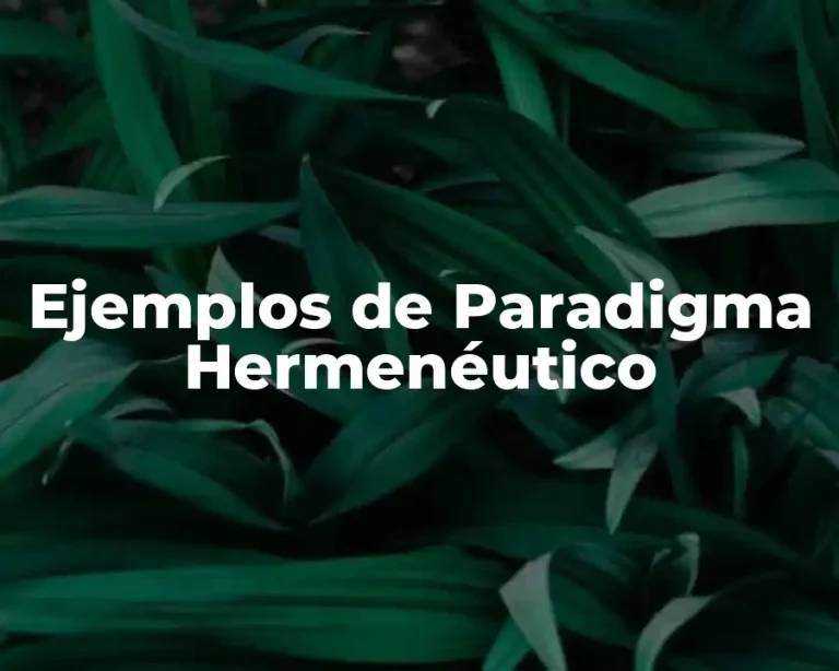 Ejemplos de Paradigma Hermenéutico