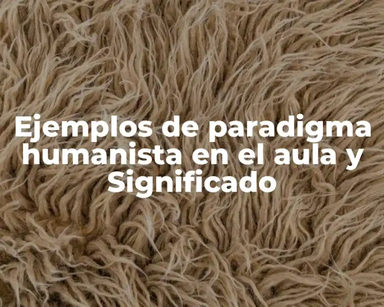 Ejemplos de paradigma humanista en el aula y Significado
