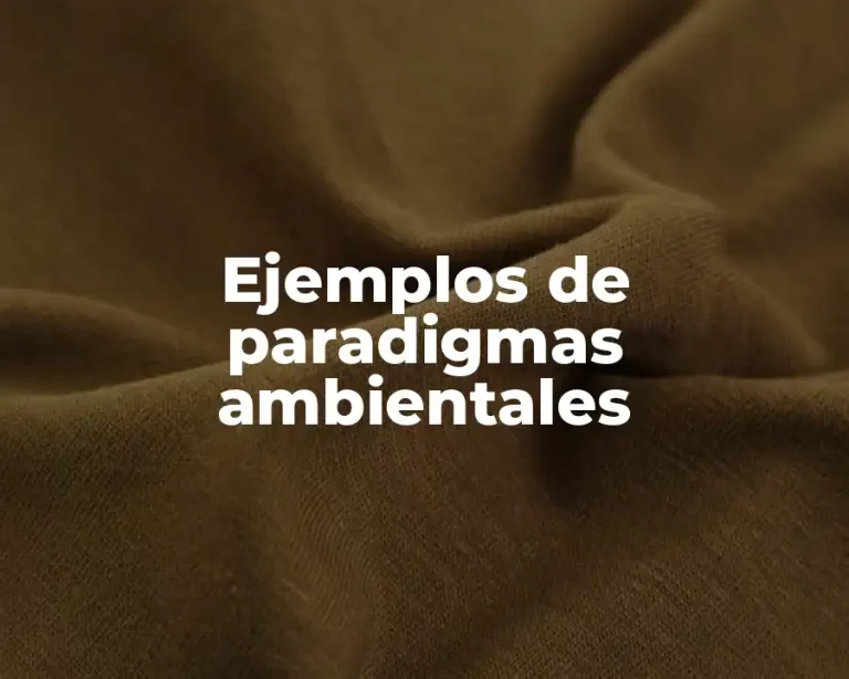 Ejemplos de paradigmas ambientales