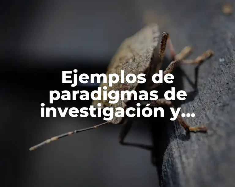 Ejemplos de paradigmas de investigación y Significado