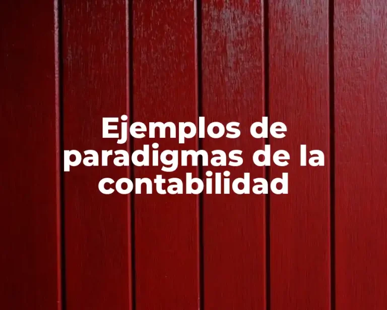 Ejemplos de paradigmas de la contabilidad